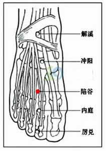 陷谷穴：胃经(图文)